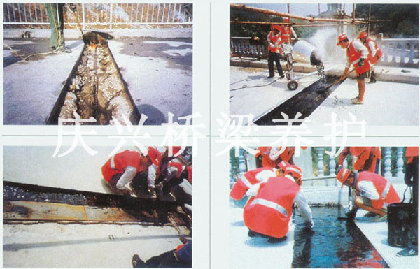 TST�o�p��s�p���bʩ��