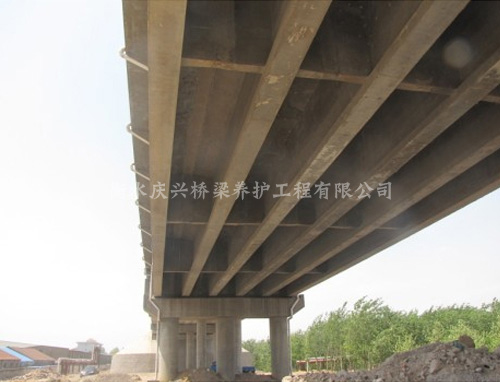 �ຣʡ������--��ë�l(xi��ng)�И�